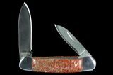 Pocketknife With Fossil Dinosaur Bone (Gembone) Inlays - Blade #127557-2